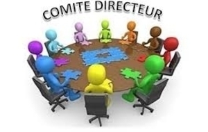 Réunion du Comité Directeur