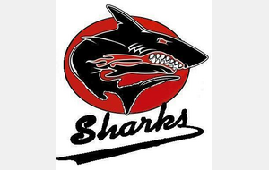 Dieppe - Sharks