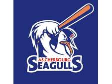 Cherbourg - Seagulls