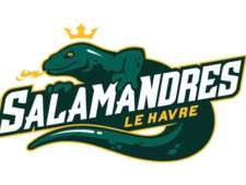 Le Havre - Salamandres